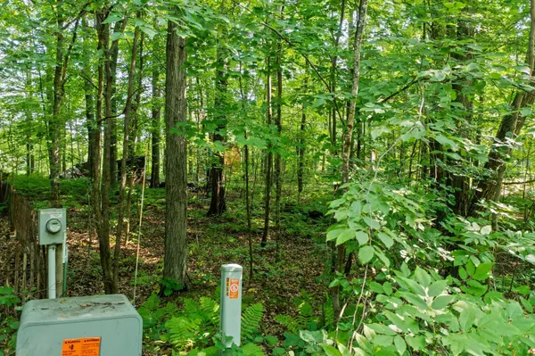 148xx River Island RD, Pine City Twp, MN 55063