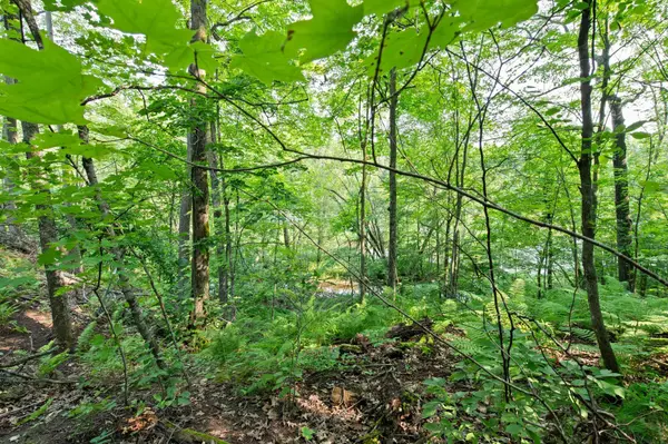 148xx River Island RD, Pine City Twp, MN 55063