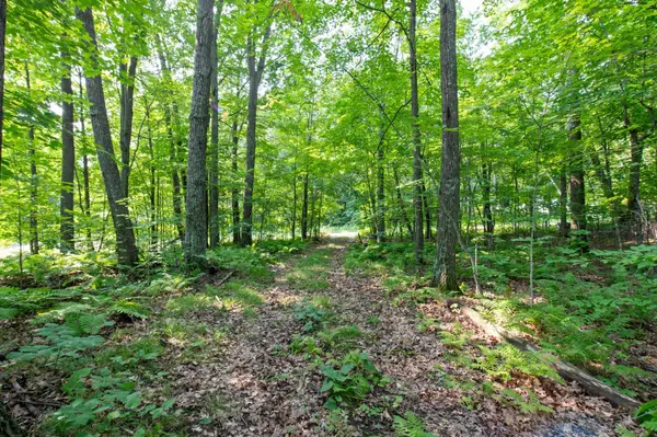 148xx River Island RD, Pine City Twp, MN 55063