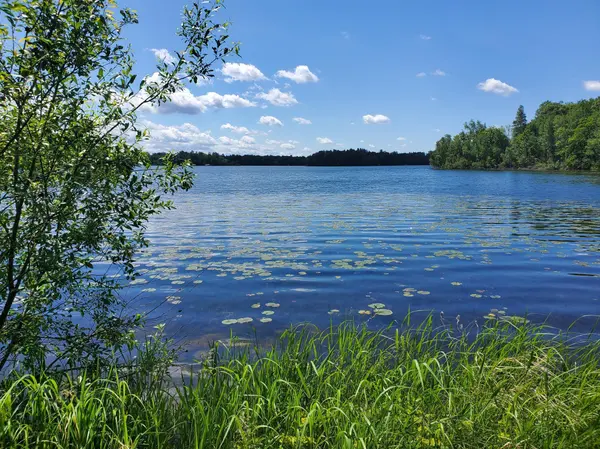 27684 W Twin Lake DR, Pequot Lakes, MN 56472