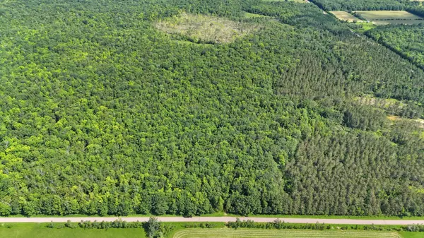 W11816 Imalone RD, Bruce, WI 54819