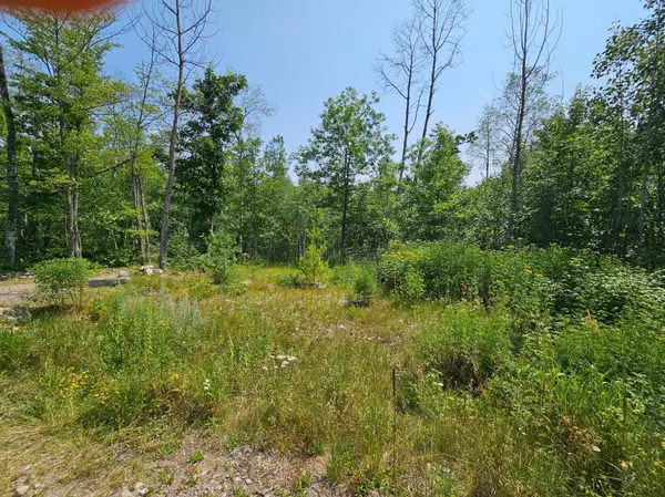 5802 Pine Martin CIR Biwabik, MN 55798