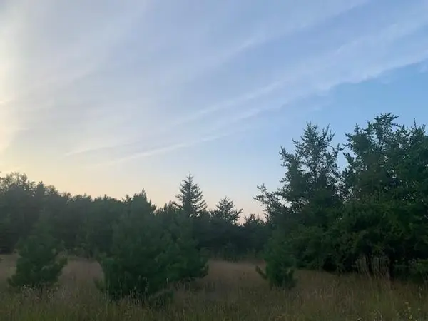 TBD Pine CIR, Breezy Point, MN 56472