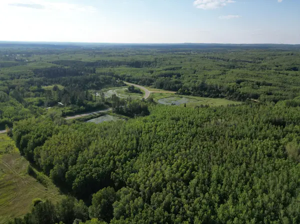 TBD 285th AVE, Akeley Twp, MN 56467