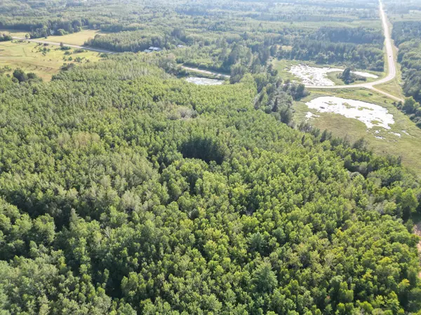 TBD 285th AVE, Akeley Twp, MN 56467