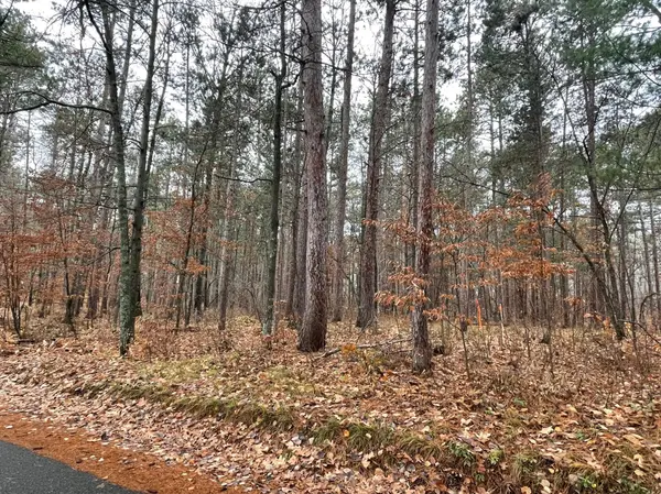 Tract A TBD Mary Beach RD, Ideal Twp, MN 56474