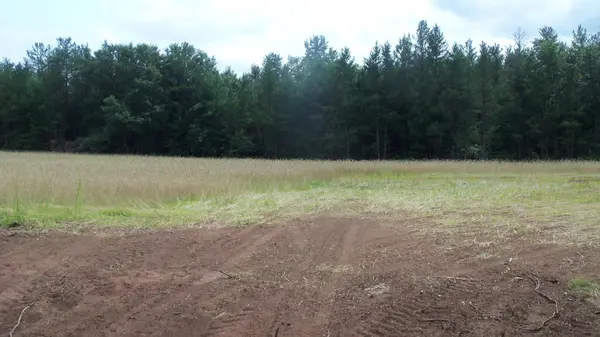 Lot 5 Bur Oak Trl, Grantsburg, WI 54840