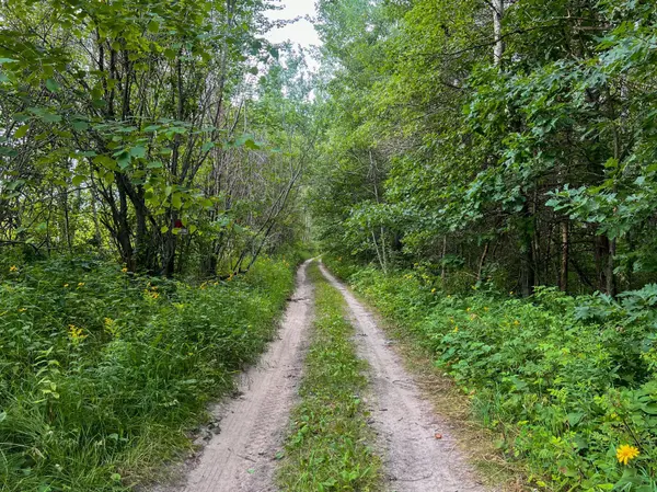 TBD 189th AVE, Bemidji, MN 56601