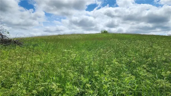 Lot 10 270th ST, Boyceville, WI 54725