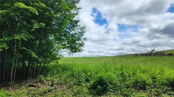 Lot 10 270th ST, Boyceville, WI 54725