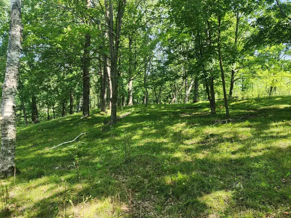 00 Narrow Gauge, Bashaw Twp, WI 54813