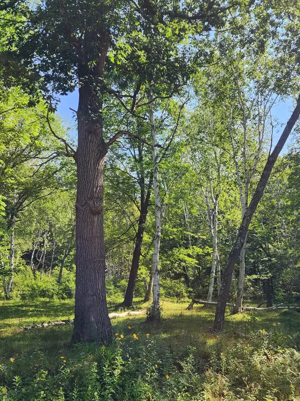 00 Narrow Gauge, Bashaw Twp, WI 54813