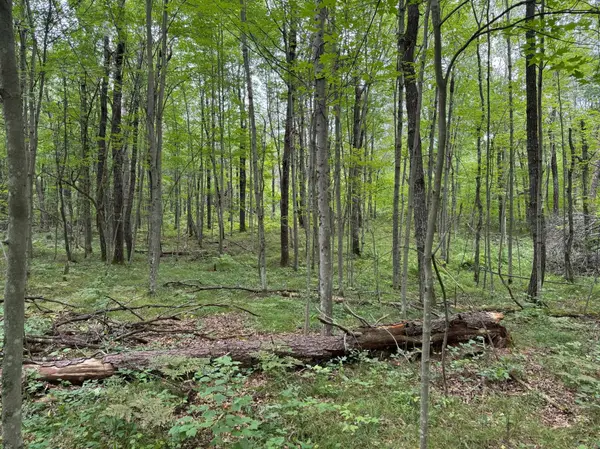 XXXX County Line Road, Evergreen Twp, WI 54801