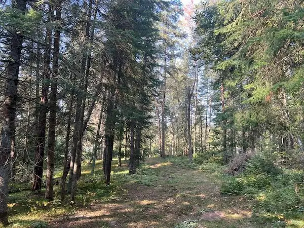 TBD Frost Bite Road, White Oak Twp, MN 56433