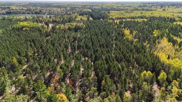 XXX Frostbite RD, Akeley, MN 56433