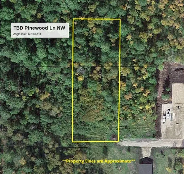 TBD Pinewood LN NW, Angle Inlet, MN 56711