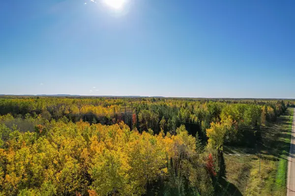 TBD County Road 536, Nashwauk, MN 55769
