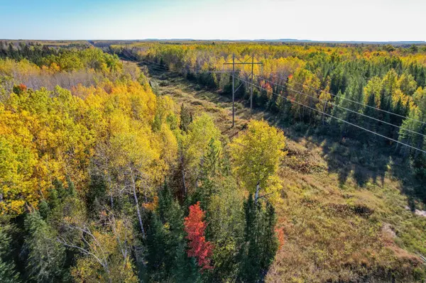 TBD County Road 536, Nashwauk, MN 55769