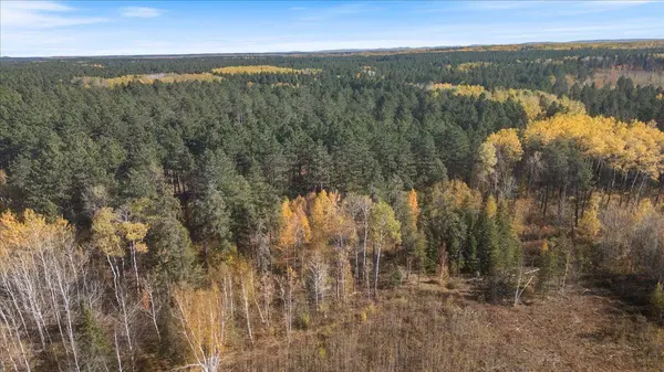 XXXX Jack Pine Lane, Angora, MN 55703