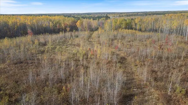 XXXX Jack Pine Lane, Angora, MN 55703