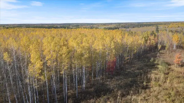 XXXX Jack Pine Lane, Angora, MN 55703