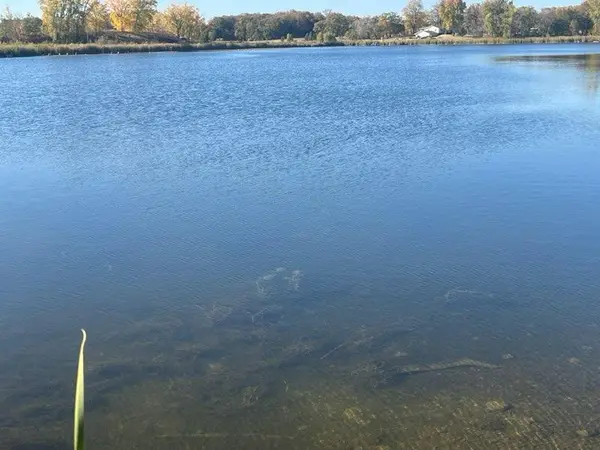 xxxx 280th AVE, Underwood, MN 56586