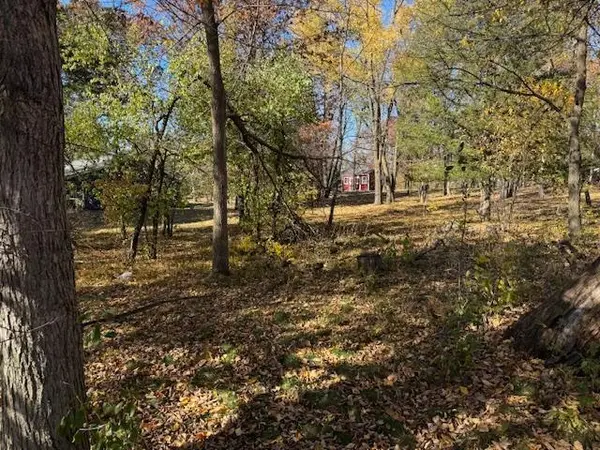 25628 165th ST NW Big Lake, MN 55309