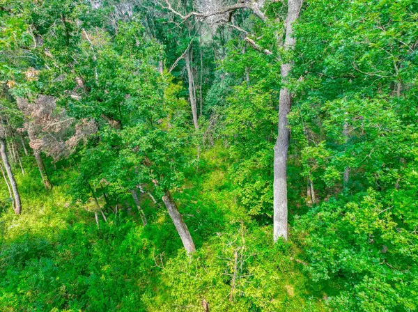2555 Trading Post TRL S, Afton, MN 55001
