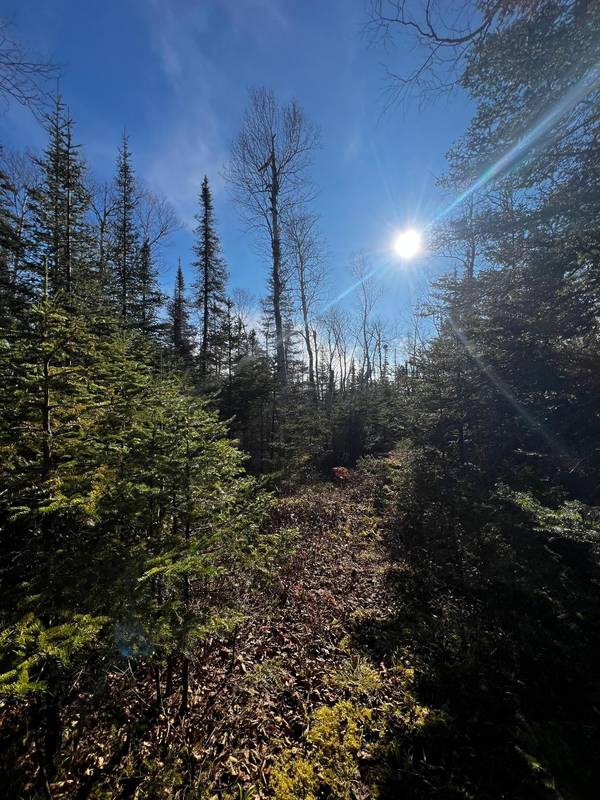 4331 Highway 61 (PARCEL A), Two Harbors, MN 55616