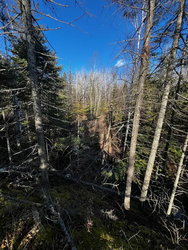 4331 Highway 61 (PARCEL A), Two Harbors, MN 55616