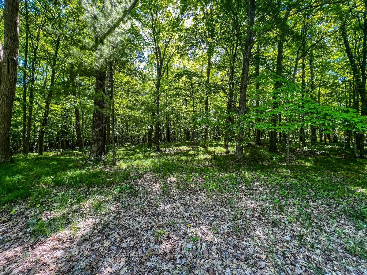 TBD Tract A Damsgaard RD, Bay Lake Twp, MN 56444