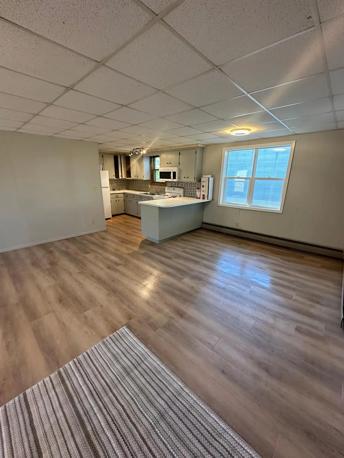 58 Birch AVE S, Maple Lake, MN 55358