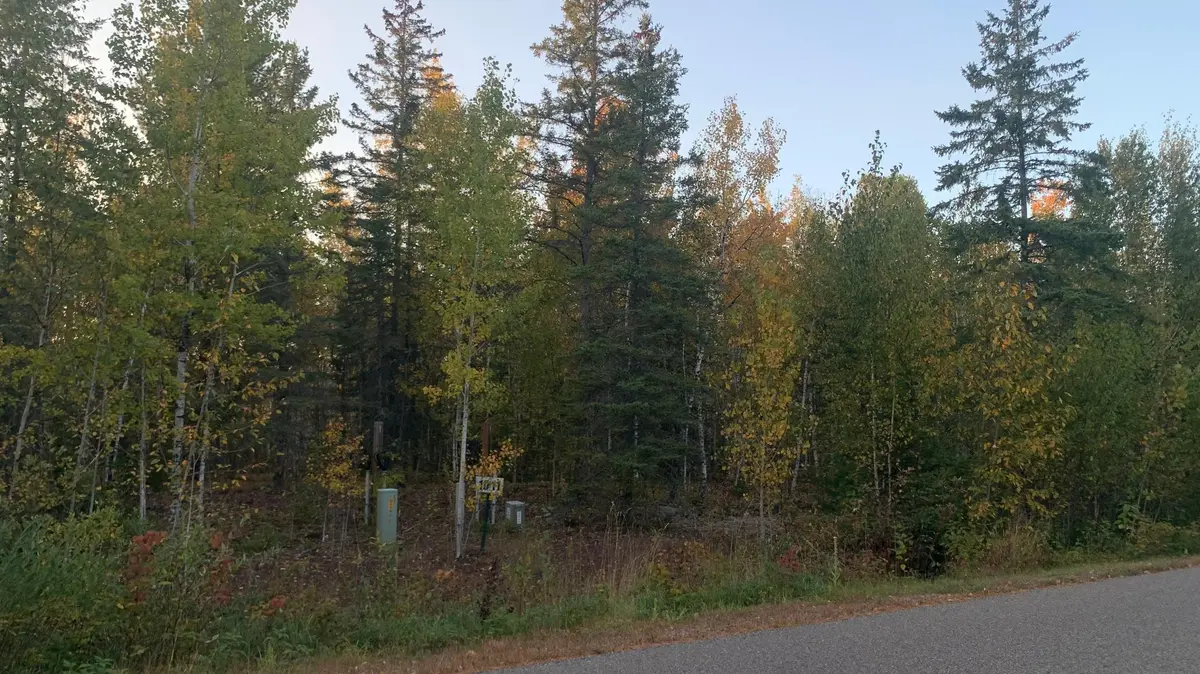 TBD Lot 11 & 1/2 10 Pine Tree LN, Coleraine, MN 55722