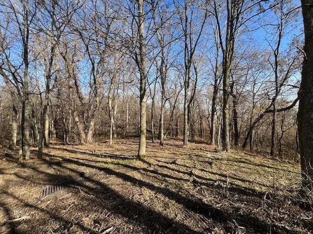 xxxxx Plentywood Rd, Perham, MN 56573