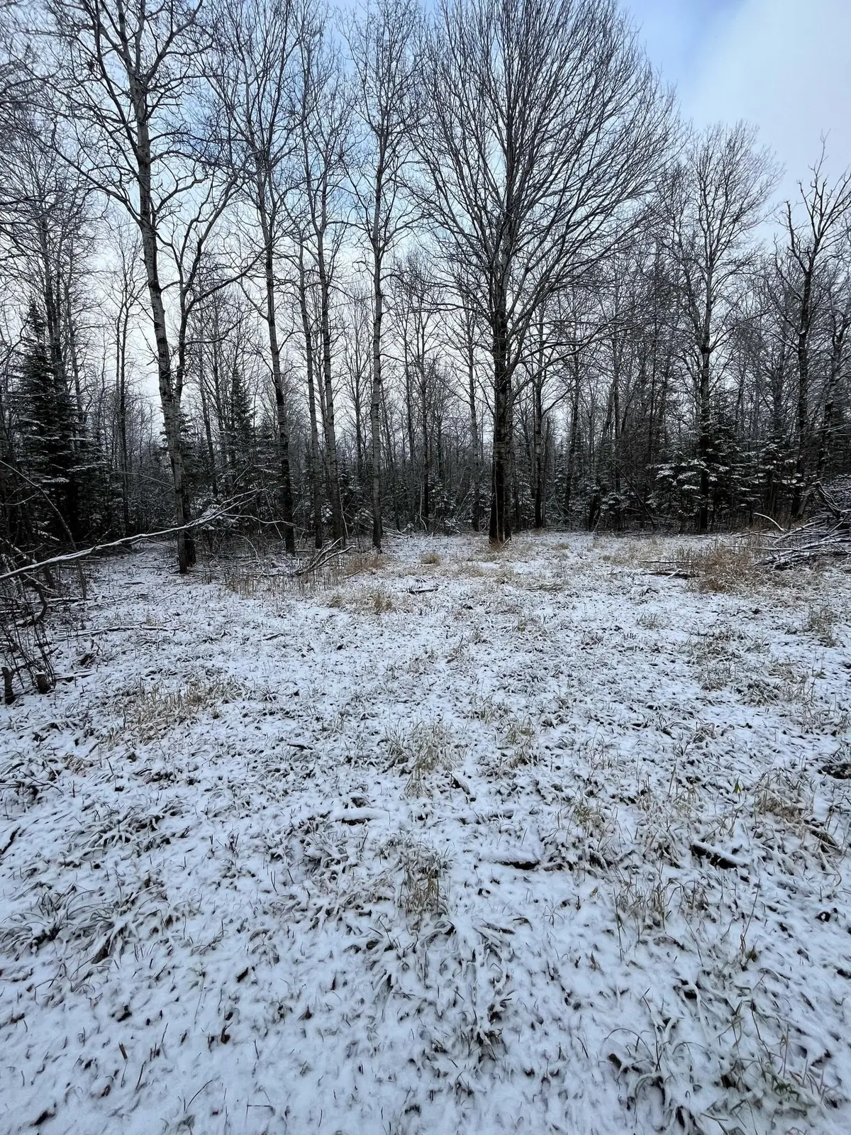 TBD Pinewood LN NW, Angle Inlet, MN 56711