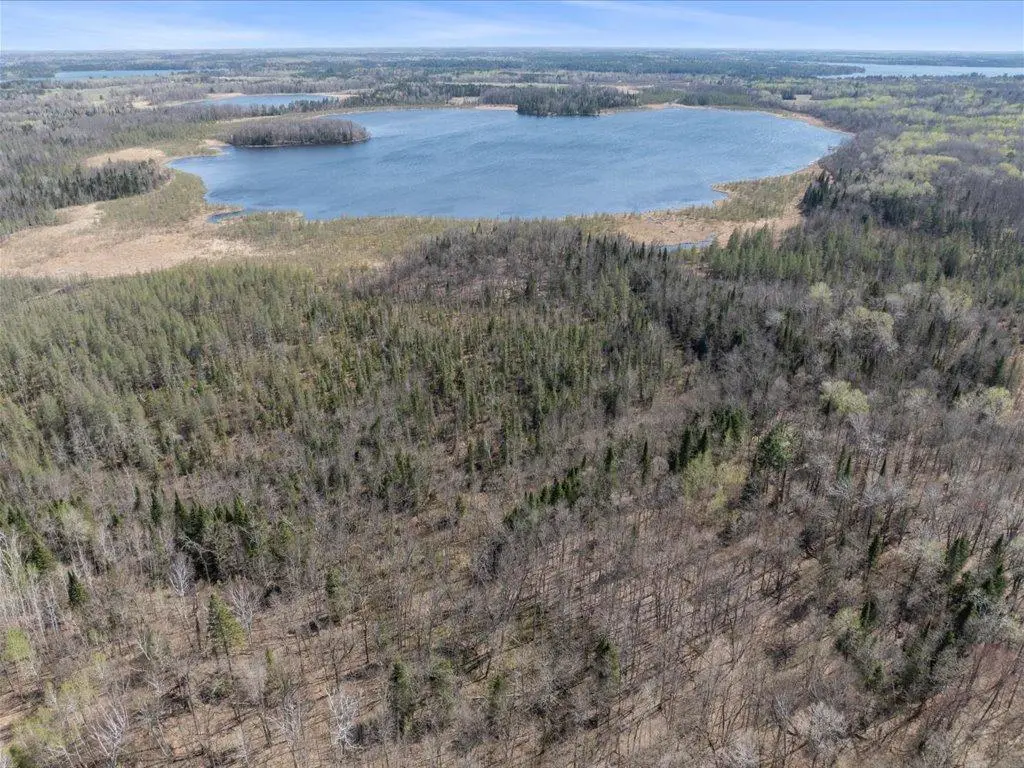 TBD xxx, Lake Emma Twp, MN 56470