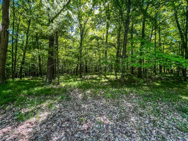TBD Tract A Damsgaard RD,  Bay Lake Twp,  MN 56444