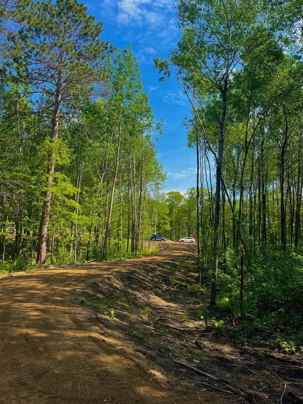 TBD Ridgeway LN,  Walker,  MN 56484