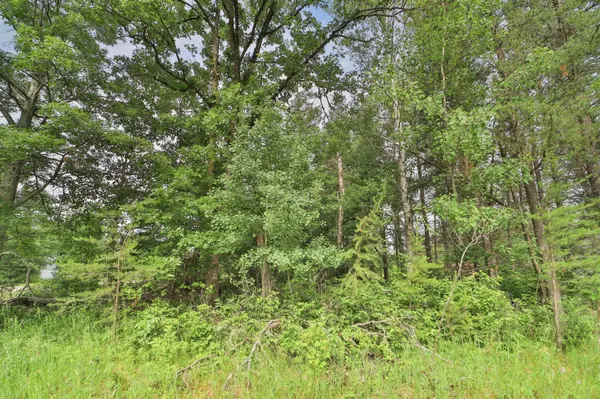 Lot 10 Block 2 Knotty Pine DR, Baxter, MN 56425
