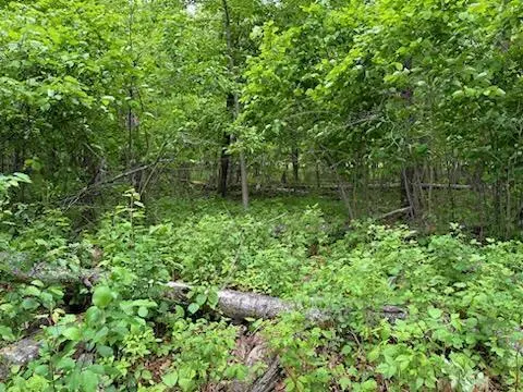 TBD Lot 3 Block 2 Spruce Circle Grand View Lodge, Nisswa, MN 56468