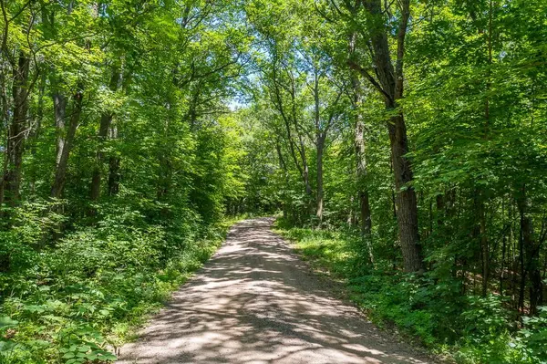 TBD Maple LN, Deerwood, MN 56444