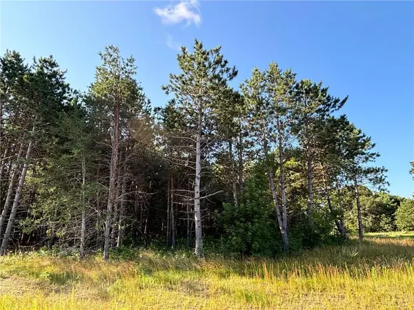 L1, Blk2 262nd AVE NW, Orrock Twp, MN 55309