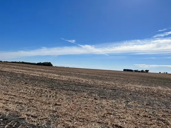 840th Avenue 290th Street, Beardsley, MN 56211