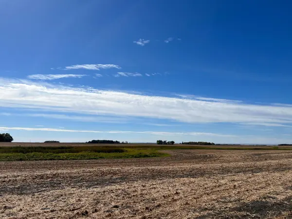 840th Avenue 290th Street, Beardsley, MN 56211
