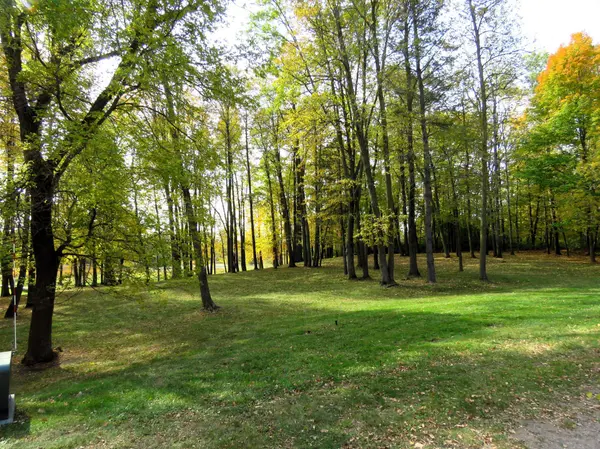 957 Nedvidek ST, Cumberland, WI 54829