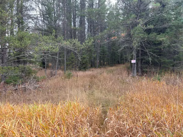 TBD Town Line Road, Aurora, MN 55705