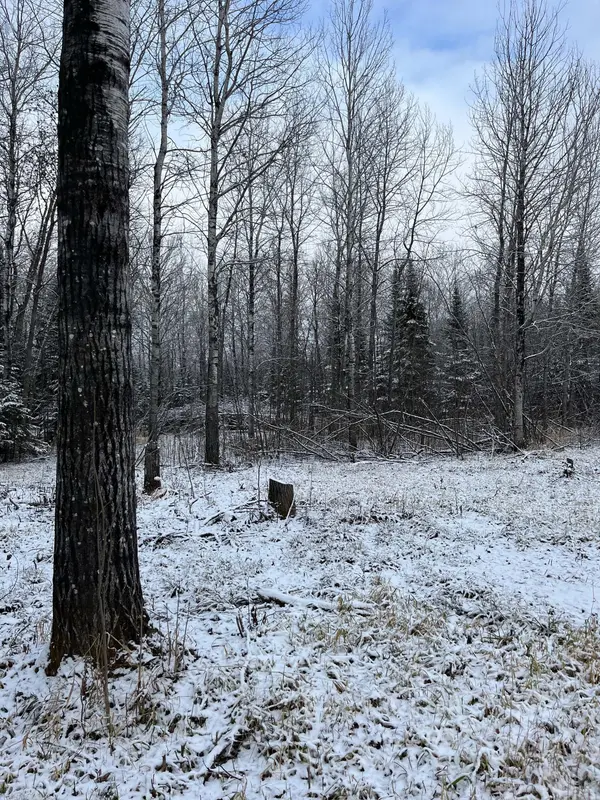 TBD Pinewood LN NW, Angle Inlet, MN 56711