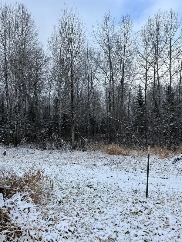 TBD Pinewood LN NW, Angle Inlet, MN 56711