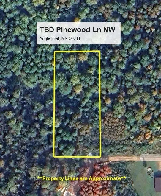 TBD Pinewood LN NW, Angle Inlet, MN 56711