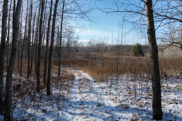 43179 322nd LN, Farm Island Twp, MN 56431